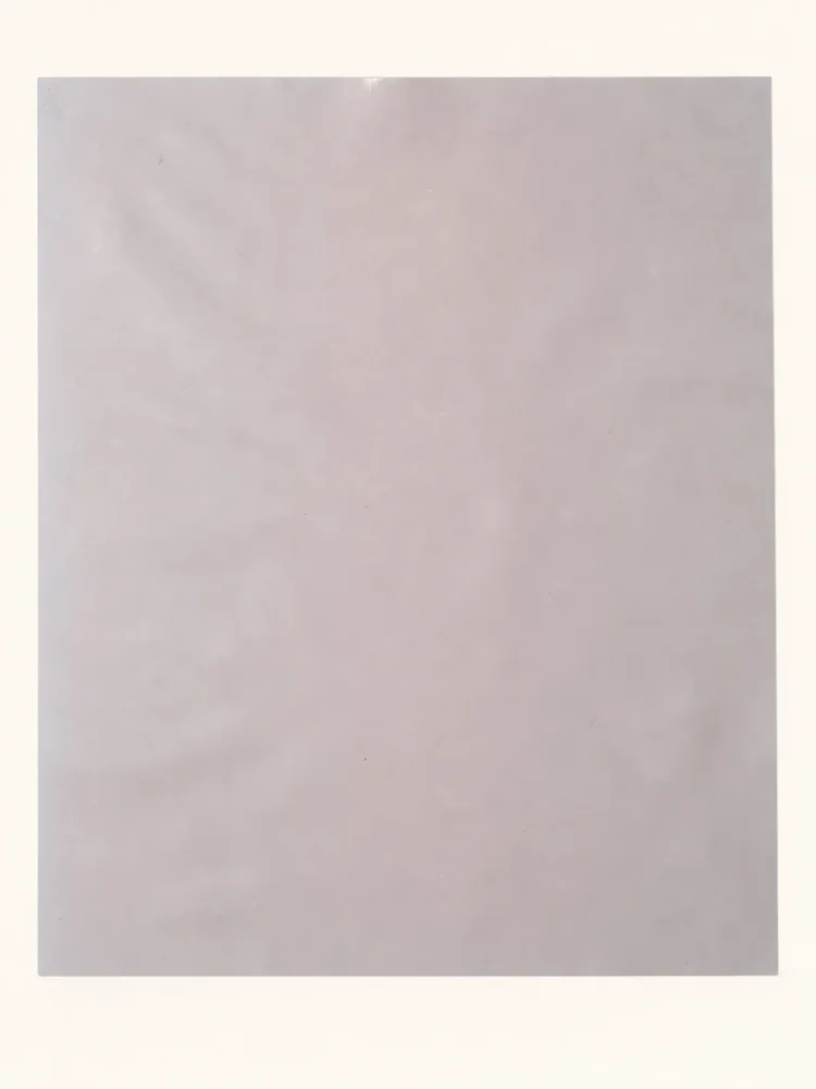 Jon Renau Silicone Sheet | 8x10|假髮選款展示